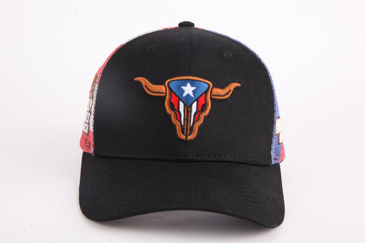PR Flag Truck Cap